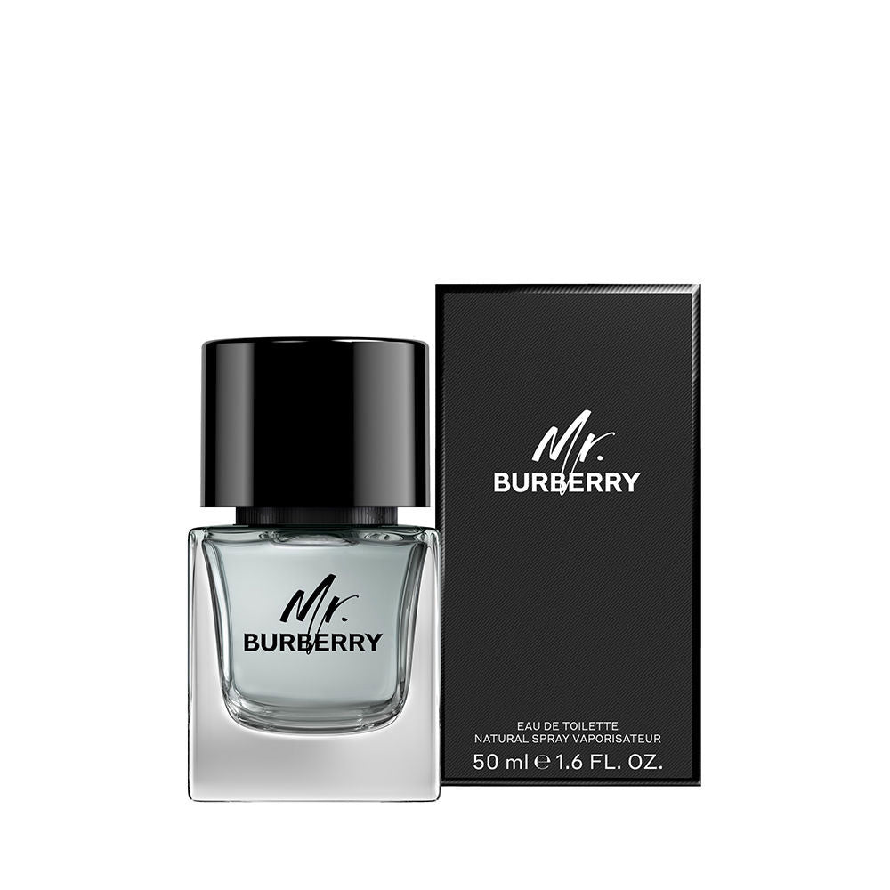 MR BURBERRY edt vapor 50 ml
